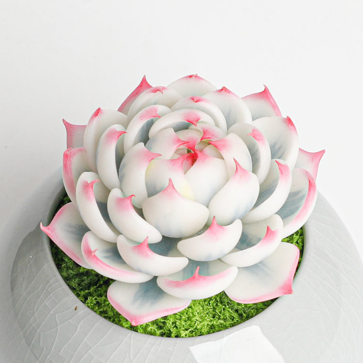 Galagaga Handmade Artificial Succulent D002