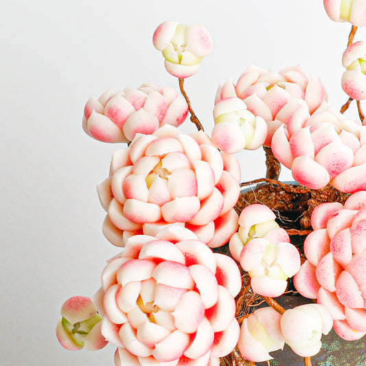 Handmade clay Succulent E012 - Detail view of handmade - clay succulent