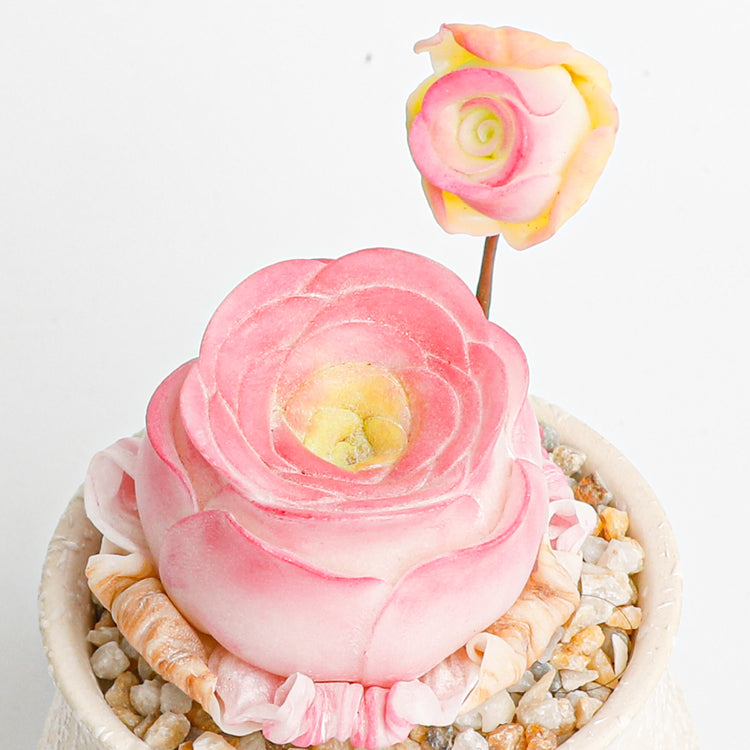 Handmade clay Succulent A017 - clay succulent plant - Handmade treasure - perfect combination of tradition and modern art