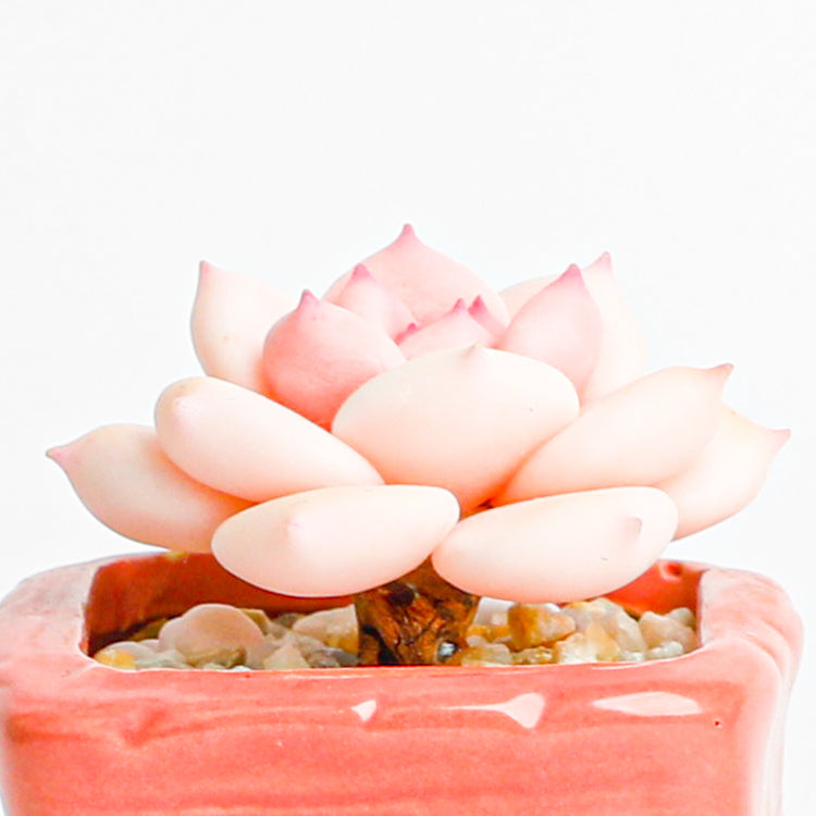 Handmade clay Succulent A014 - Handcrafted image 4 - clay succulent