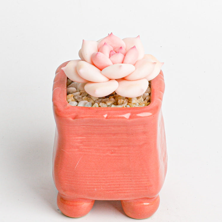 Handmade clay Succulent A014 - Close-up of unique design - clay succulent