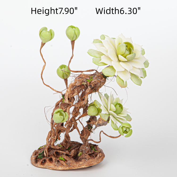 Handmade Clay Succulent Plant W002