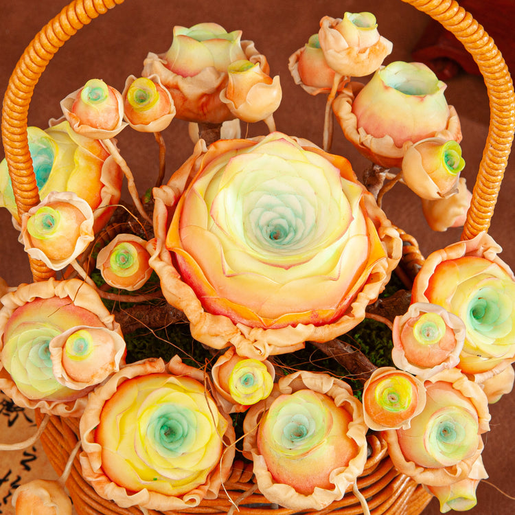 Handmade Clay Succulent Flower Basket HL003