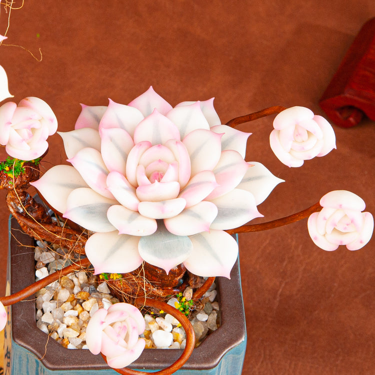 Artificial Succulent Bonsai Arrangement B015