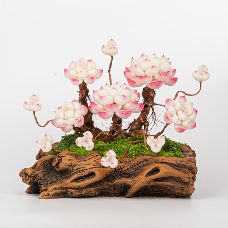 Artificial Succulent Bonsai Arrangement B018 – detail view 6