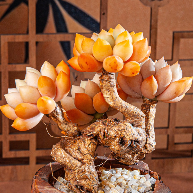 Artificial Succulent Bonsai Arrangement B014