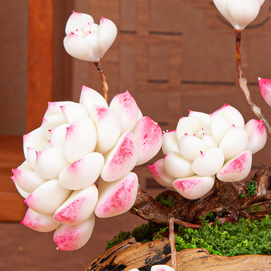 Artificial Succulent Bonsai Arrangement B016