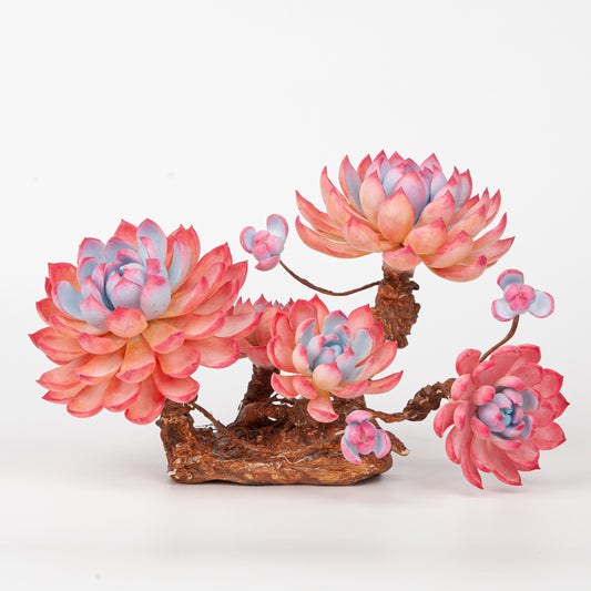 Handmade Clay Succulent Plant W004