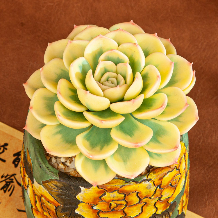 Handmade Clay Succulent Plant with Hand-painted Ceramic Pot SH003