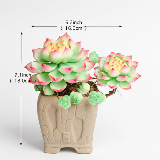 Galagaga Handmade Artificial Succulent B007
