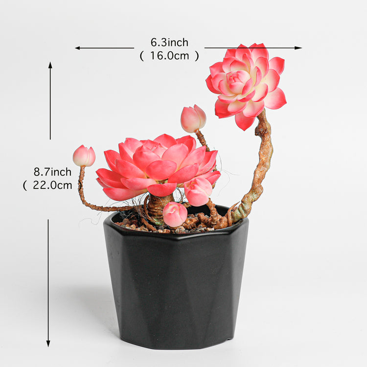 Galagaga Handmade Artificial Succulent C003