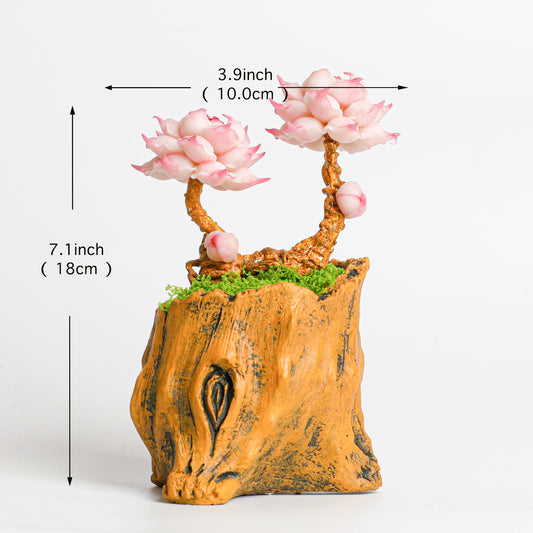 Galagaga Handmade Artificial Succulent B002