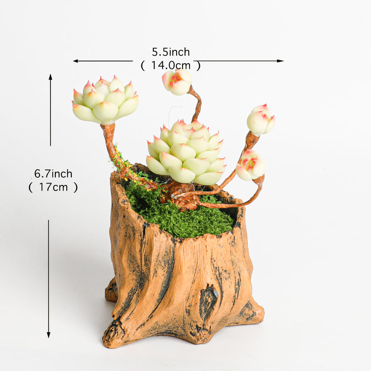 Galagaga Handmade Artificial Succulent B003