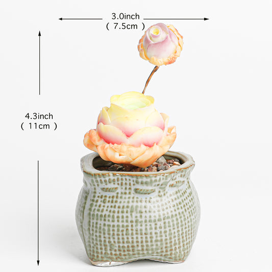 Galagaga Handcrafted Artificial Succulent Plant in Teal Ceramic Pot, Greenovia - Detail view of handmade - clay succulent