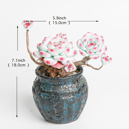 Galagaga Handmade Artificial Succulent B005