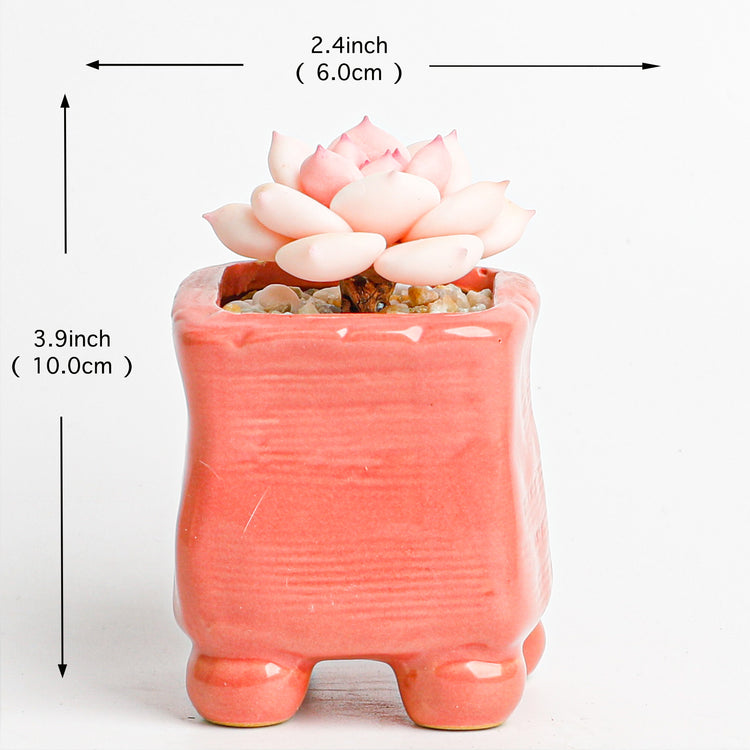 Handmade clay Succulent A014 - clay succulent plant - Artisan-quality craft - limited edition handmade piece