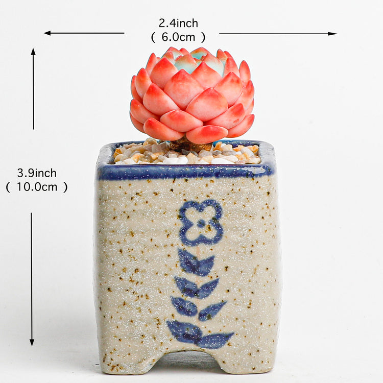 Handmade clay Succulent A013 - Close-up of unique design - clay succulent