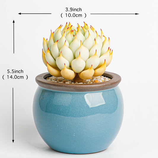 Handmade clay Succulent D008 - Detail view of handmade - clay succulent