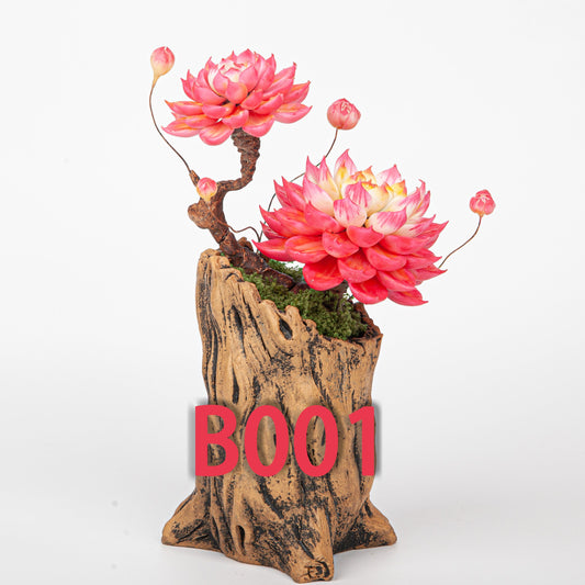 Mastering Clay Succulents: DIY Care Guide & Decoration Inspiration