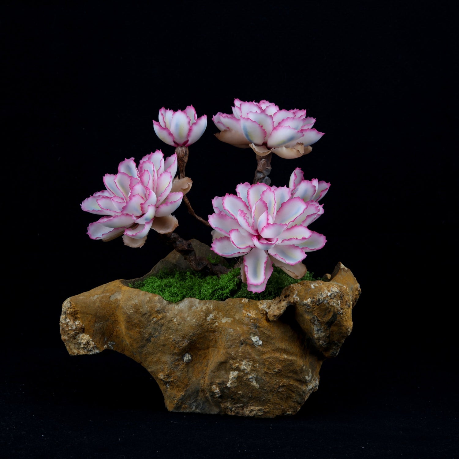 DIY Clay Succulent Care Guide: Create Your Own Mini Garden