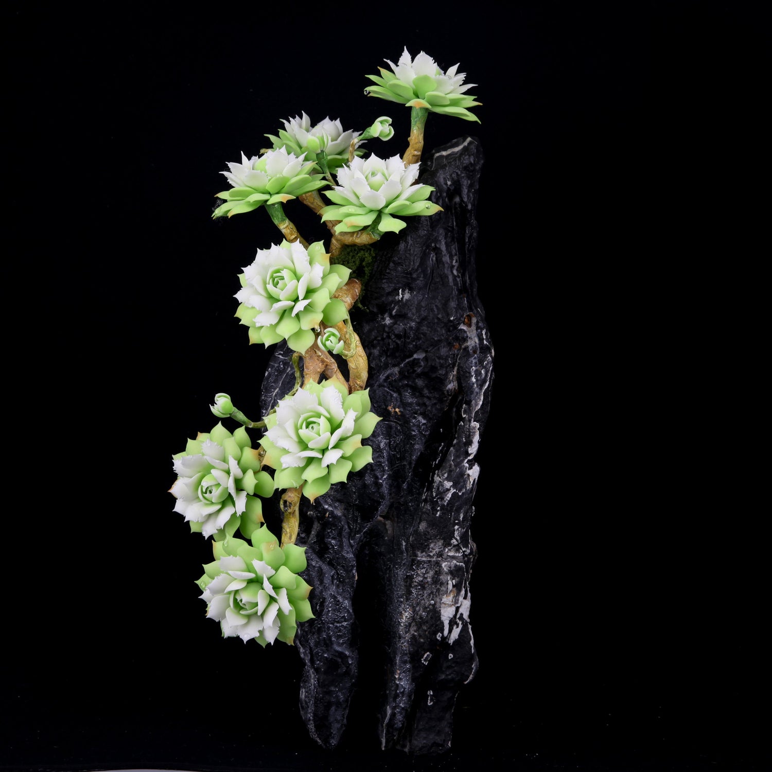 Clay Succulent Display