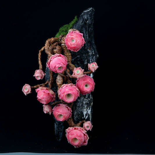 DIY Clay Succulents: A Complete Guide to Creating Your Own Mini Garden