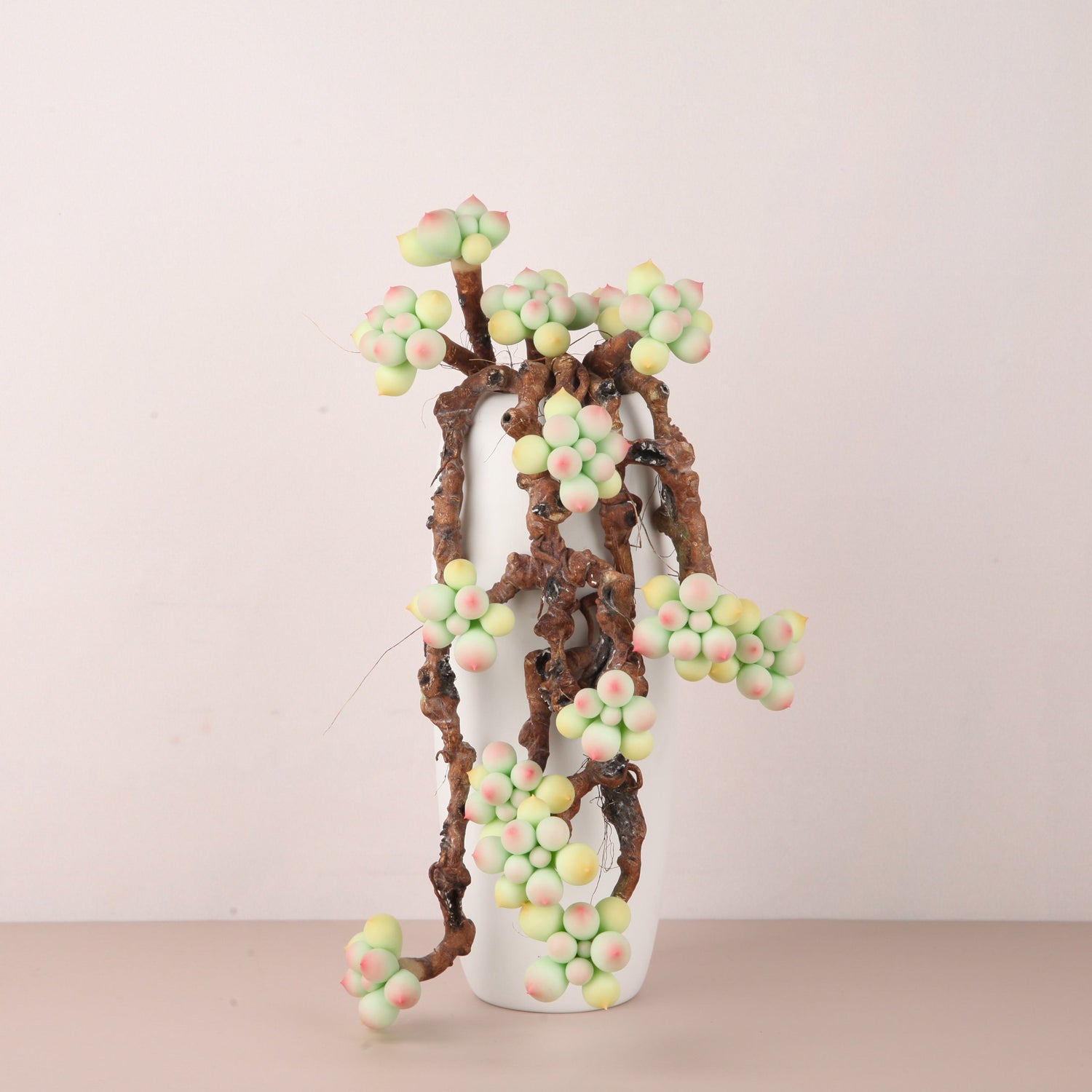 Clay Succulent - Galagaga