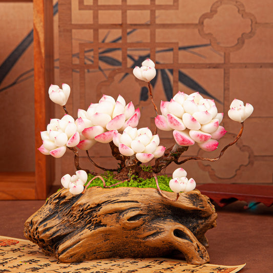 Artificial Succulent Bonsai Arrangement B017