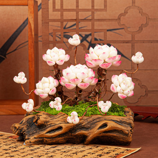 Artificial Succulent Bonsai Arrangement B018