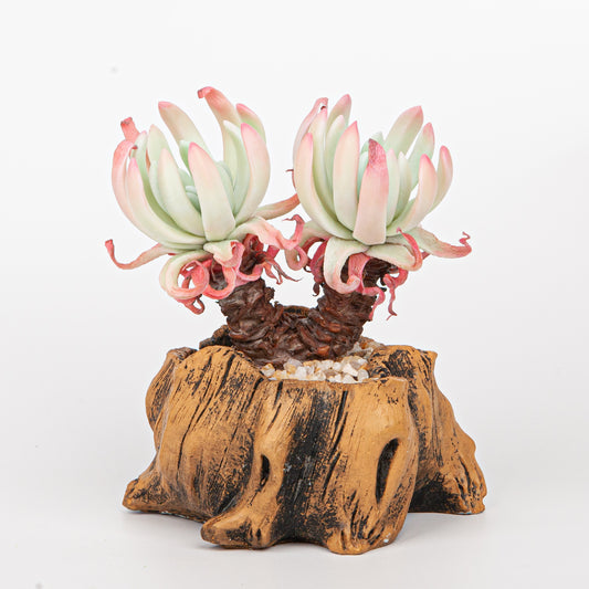 Handmade Clay Succulent Plant Sculpture B010