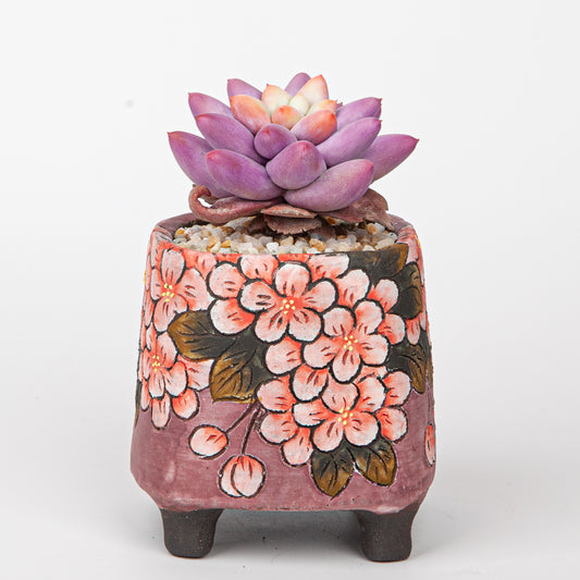 Handmade Clay Succulent Plant with Traditional Chinese Floral Ceramic Pot SH001