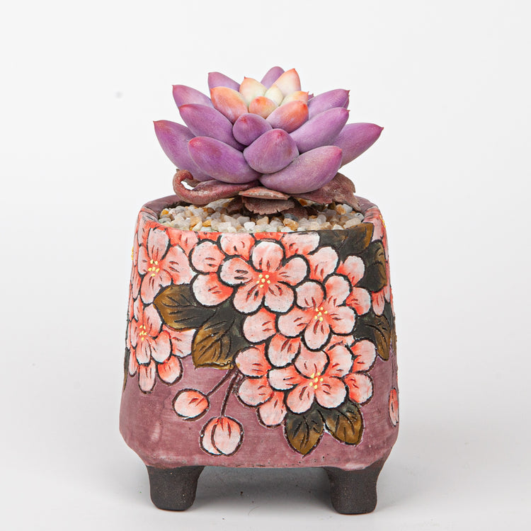 Handmade Clay Succulent Plant with Traditional Chinese Floral Ceramic Pot SH001