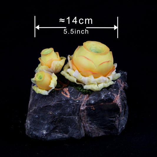 Greenovia（Yellow)