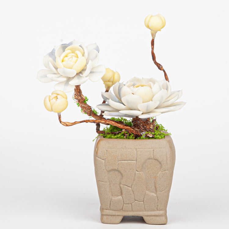 Handmade Clay Succulent Plant Sculpture B009