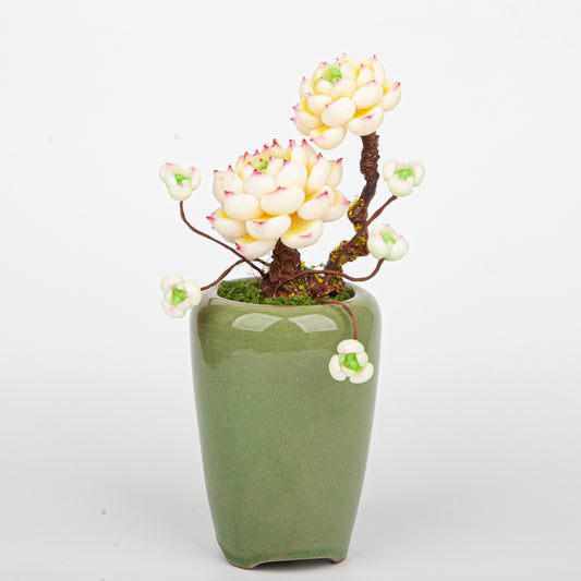 Handmade Clay Succulent Plant Sculpture B012