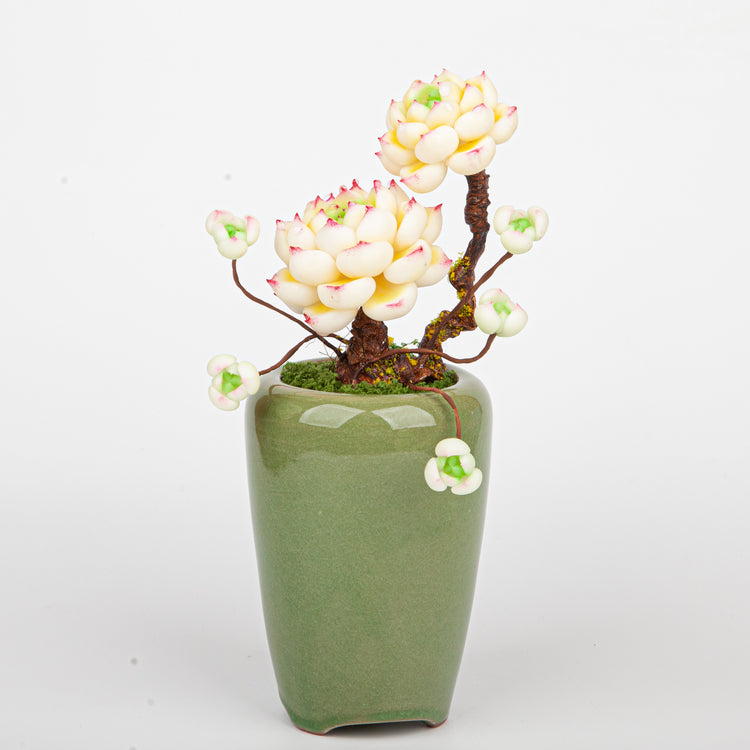 Handmade Clay Succulent Plant Sculpture B012