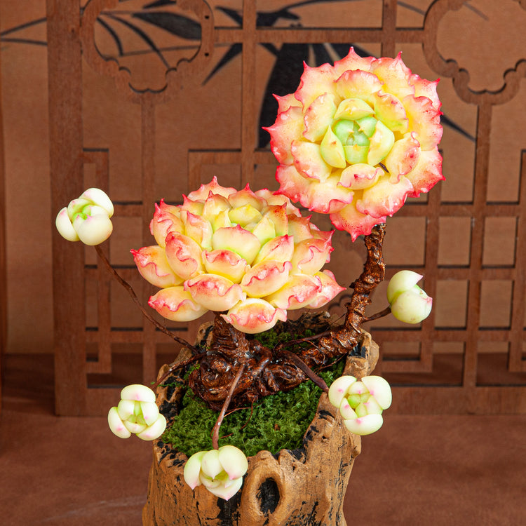 Handmade Clay Succulent Plant Sculpture B007