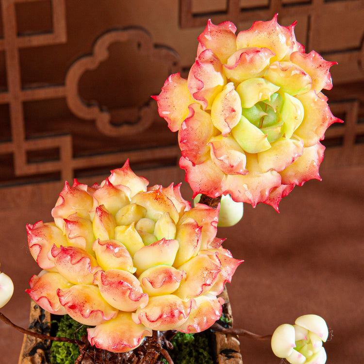 Handmade Clay Succulent Plant Sculpture B007