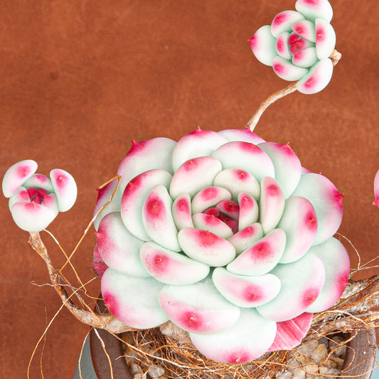 Artificial Lotus Flower Arrangement B004