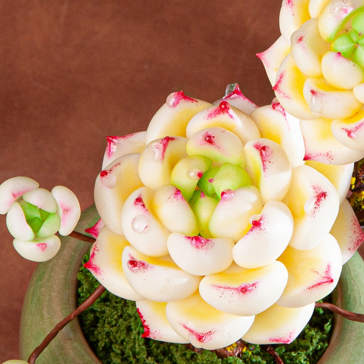 Handmade Clay Succulent Plant Sculpture B012