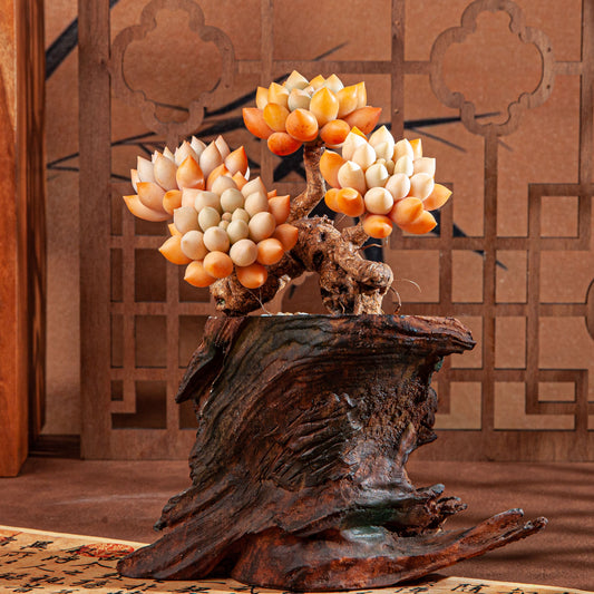 Artificial Succulent Bonsai Arrangement B014