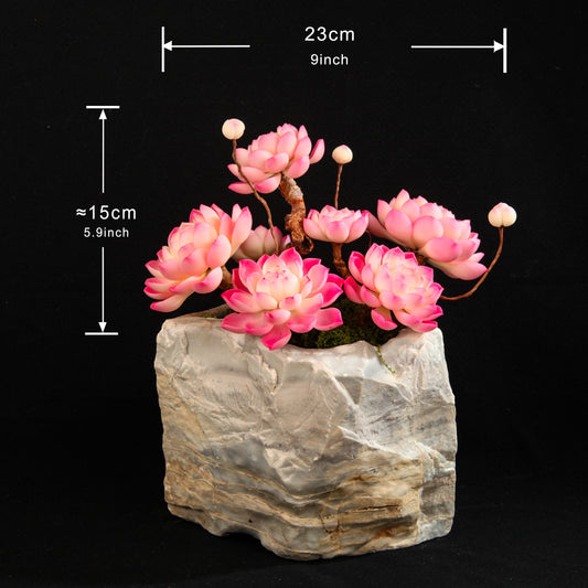 Red Child Lotus Succulent