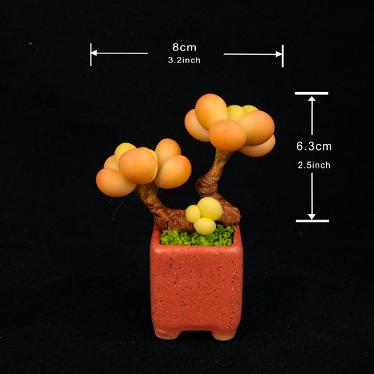 Peach Egg（Set）