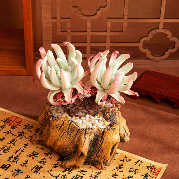 Handmade Clay Succulent Plant Sculpture B010