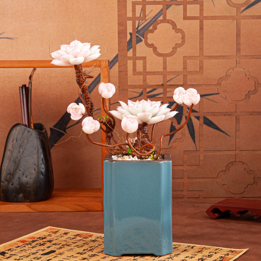 Artificial Succulent Bonsai Arrangement B015