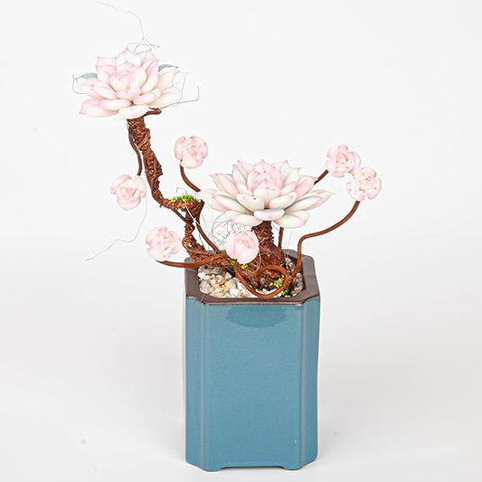 Artificial Succulent Bonsai Arrangement B015