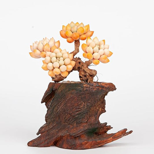 Artificial Succulent Bonsai Arrangement B014