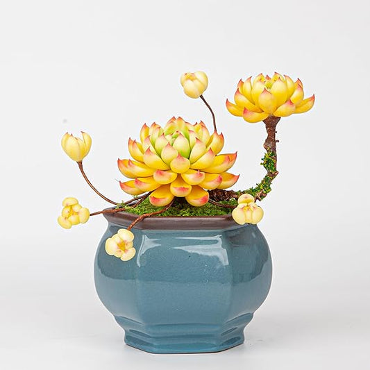 Artificial Succulent Bonsai Arrangement B013