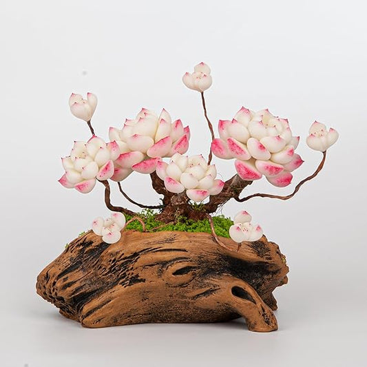 Artificial Succulent Bonsai Arrangement B017