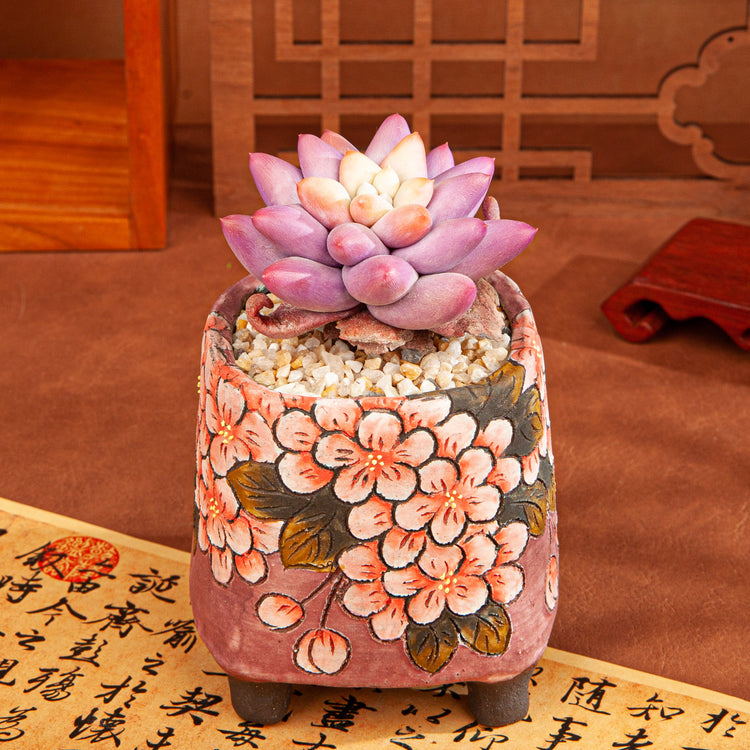 Handmade Clay Succulent Plant with Traditional Chinese Floral Ceramic Pot SH001